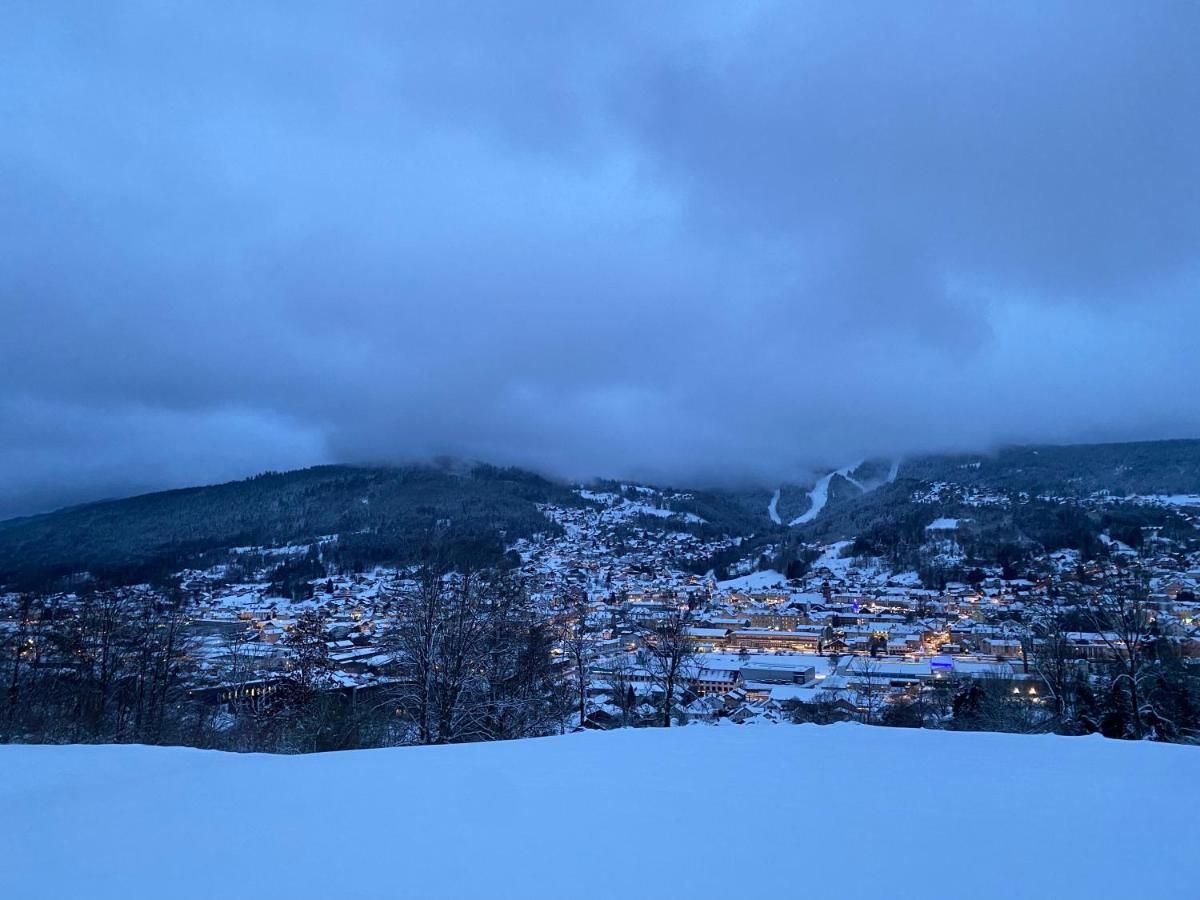 La Cime Des Lacs Gérardmer Dış mekan fotoğraf