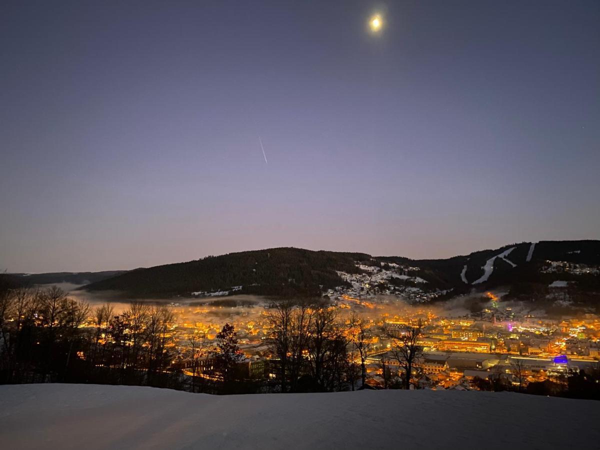 La Cime Des Lacs Gérardmer Dış mekan fotoğraf